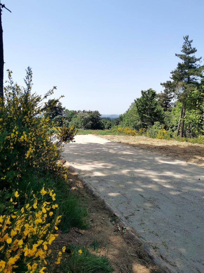Willa Chez Marius Saint-Agrève Zewnętrze zdjęcie